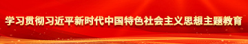 外美女被艹学习贯彻习近平新时代中国特色社会主义思想主题教育